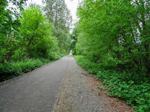 Willapa Hills Trail