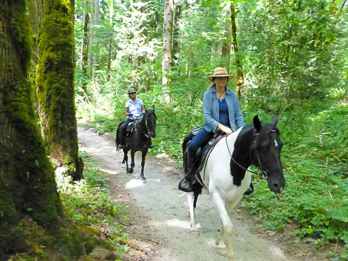 Four Winter Trails Near Vancouver, WA