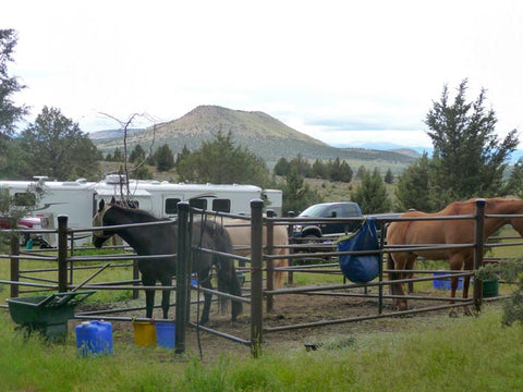 Cyrus Horse Camp