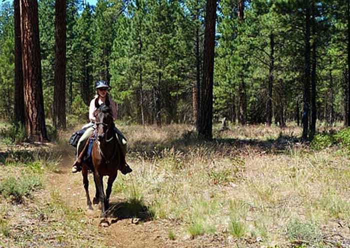 Bear Valley on the Metolius-Windigo Trail