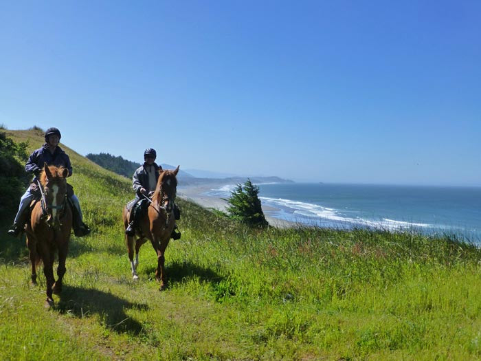 The Beach Trail at Cape Blanco