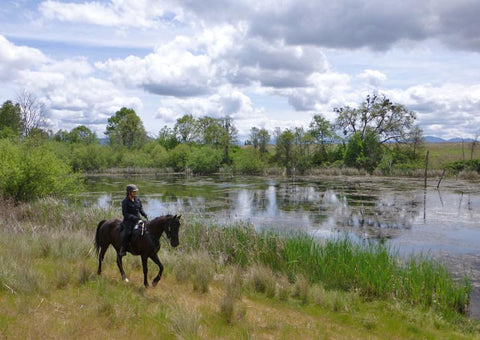 Denman Wildlife Area