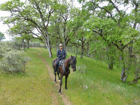 Denman Wildlife Area