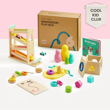 educational toys product