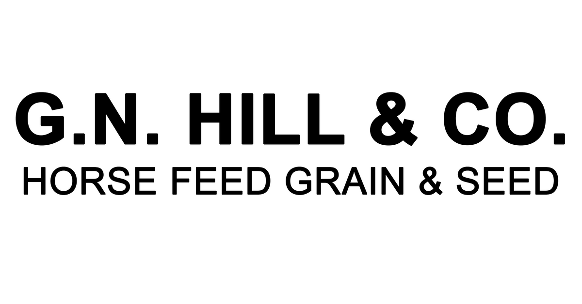 www.gnhill.co.nz