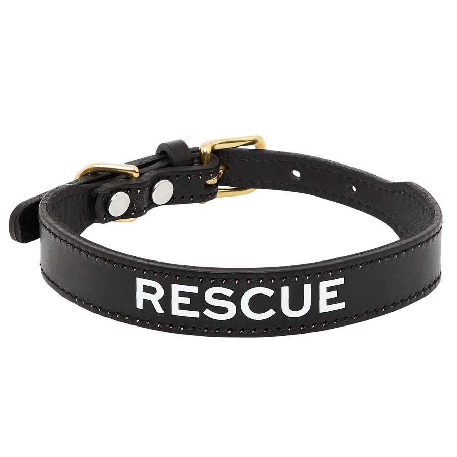 Leather Dog Collar - RESCUE – houndstooth.com.au