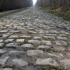 Maillot Cycliste Vintage Alcyon Paris Roubaix