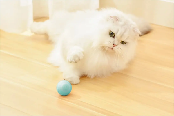 Chat jouant avec une balle interactive 'FunFeline' intelligente en ABS et silicone