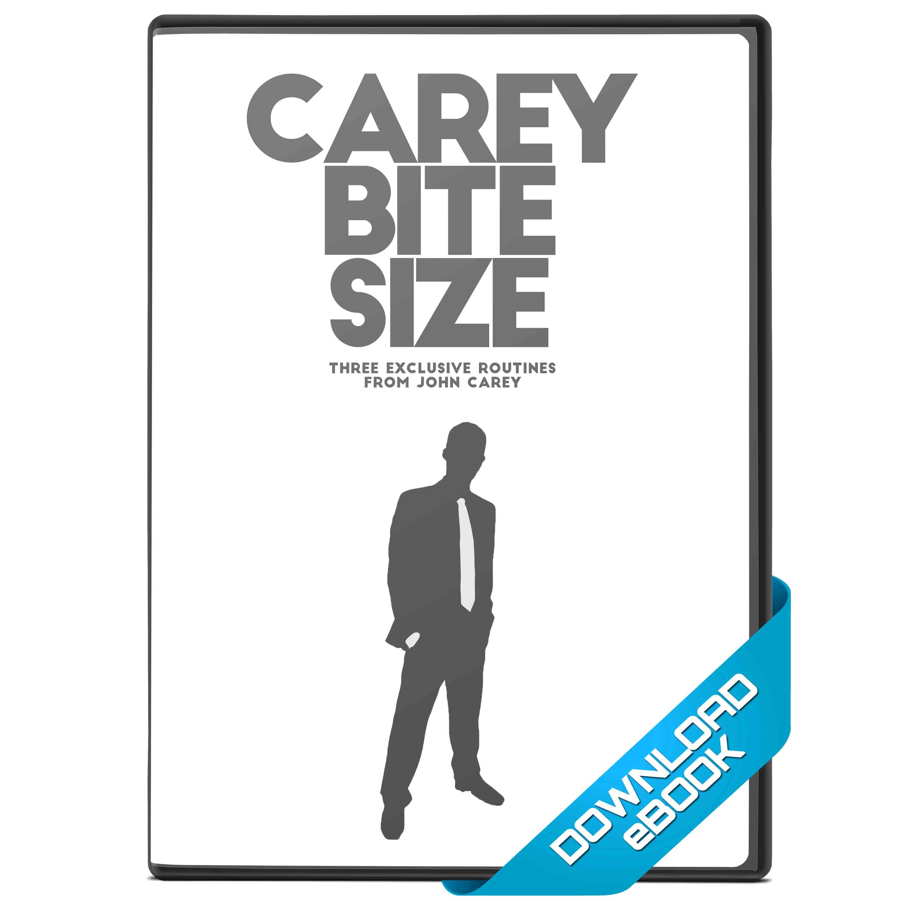 careybitesizecover2.jpg