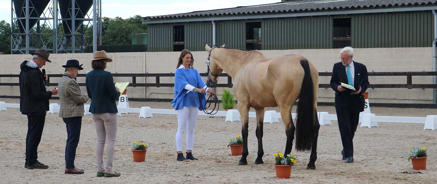 charlotte in the dressage arena at the horse championships in regatta blue cashmere poncho