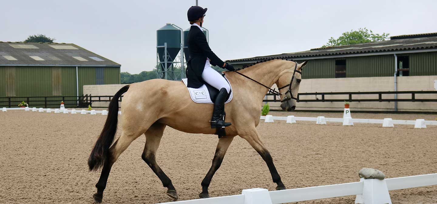 horse trial championships in the dressage arena