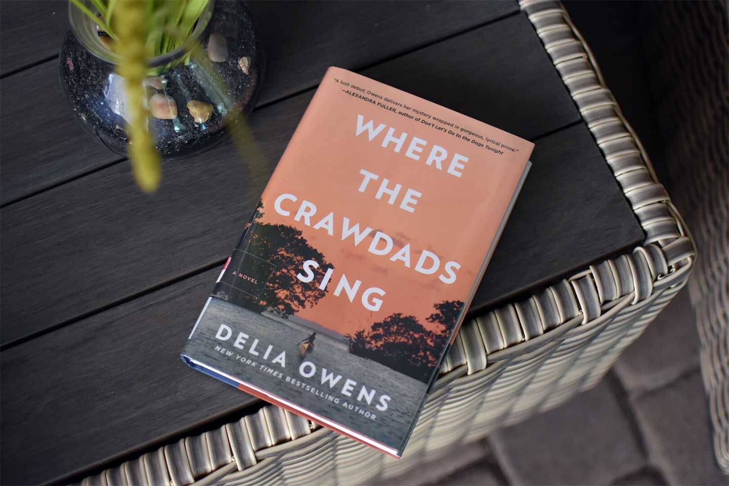 where the crawdads sing book front cover