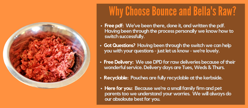 Why Choose Bounce and Bella for raw food?