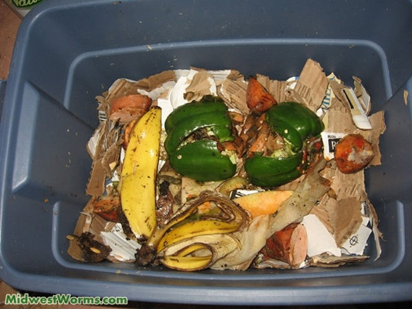 Super Simple Worm Farm Bin – Easy and Fun - Midwest Worms