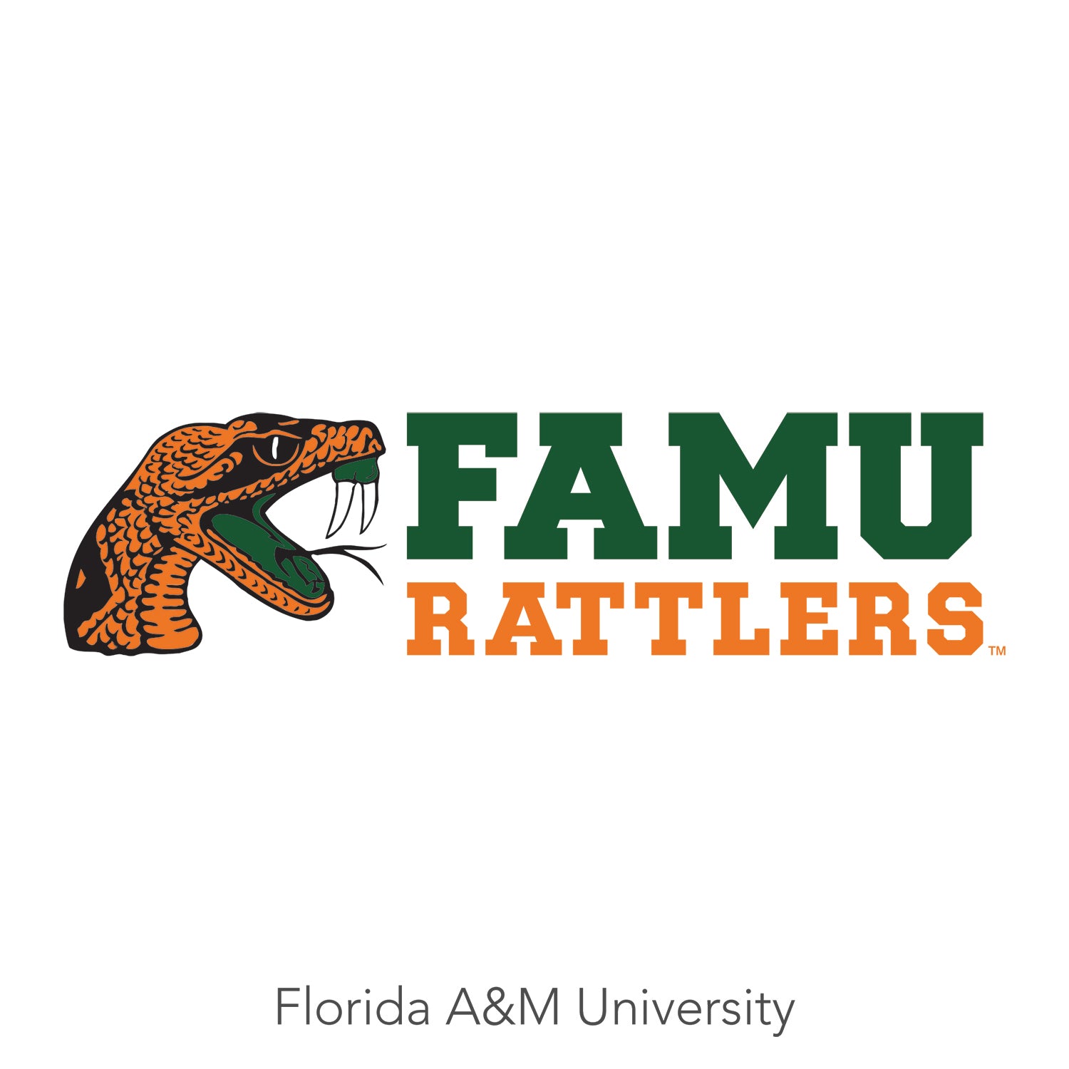 FLORIDA A&M LANYARD