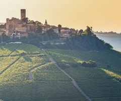 The Best Nebbiolo That Isn't Barolo Or Barbaresco's Article Visual