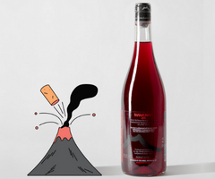 Frank Cornelissen, Susucaru: Why Does This Wine Taste Like This?'s Article Visual