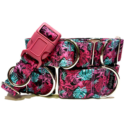 a vibrant dog collar featuring pink and teal leaves