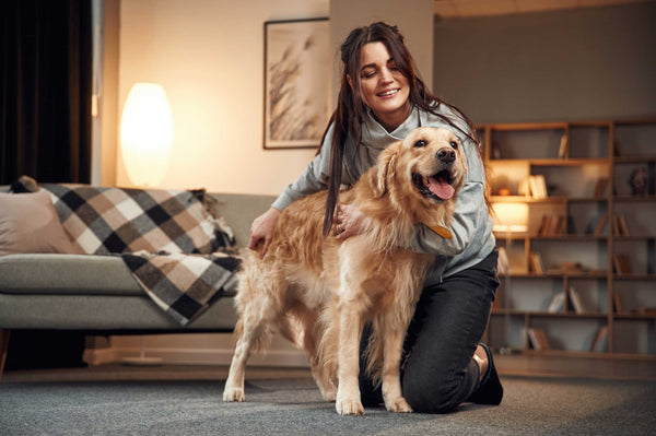 une femme qui s'occupe de son golden retriever nouvellement adopté