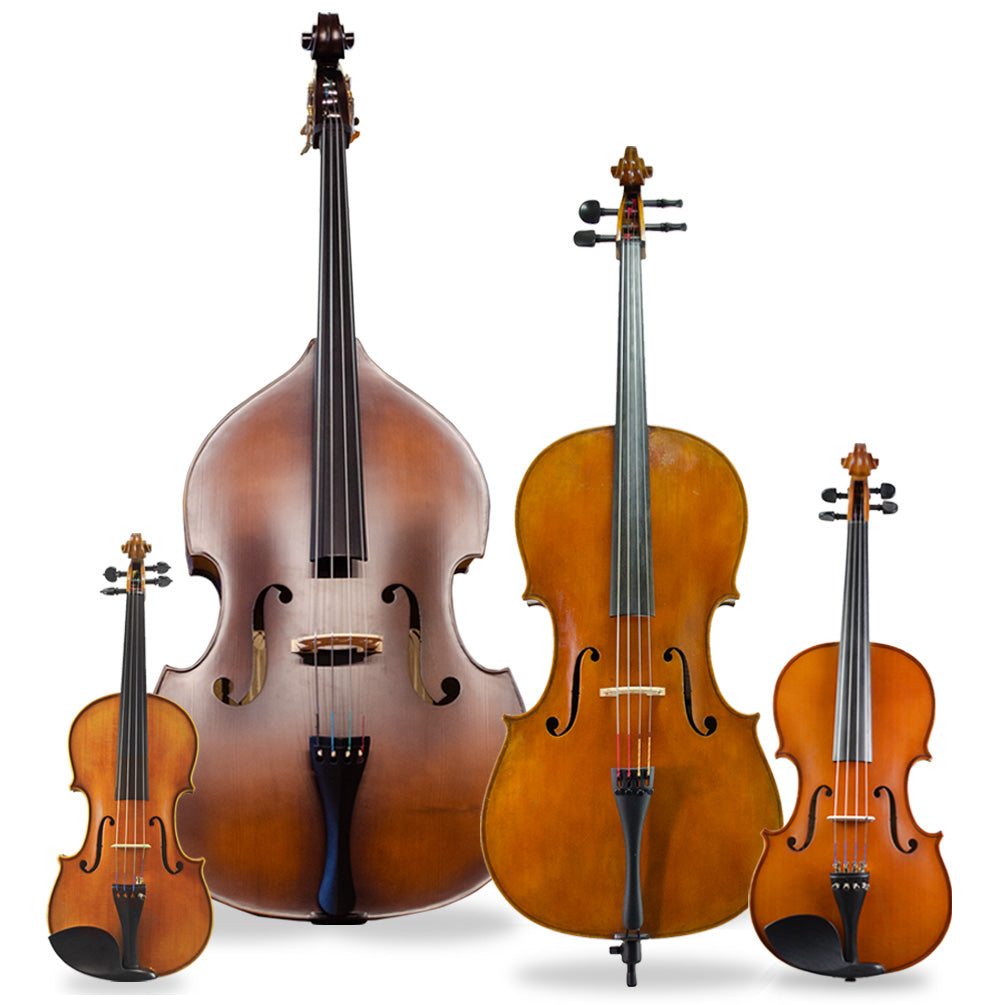 Orchestral Instruments