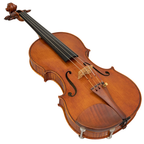 Violin Customizations