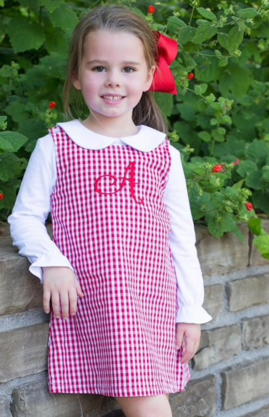 gingham a line dress