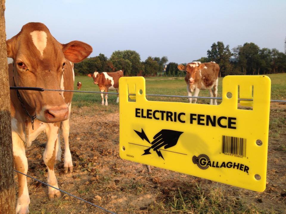 10 Gallagher Electric Fence Warning Signs G602404 | Farm ...