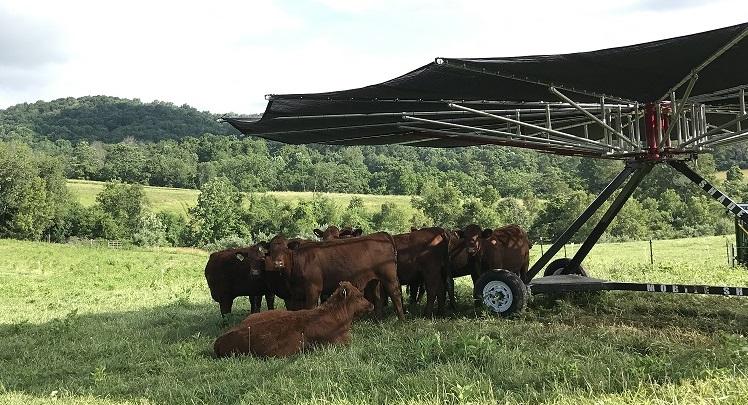 Get Quote Shade Haven Sb1200 Portable Cattle Livestock Shade Structure Valley Farm Supply Electric Fencing Grazing Supplies Livestock Scales Pasture Management Solutions