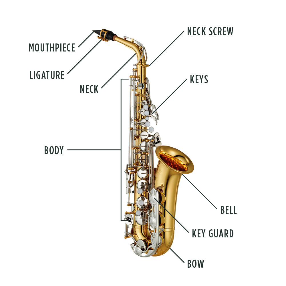 Alto Saxophone Anatomy