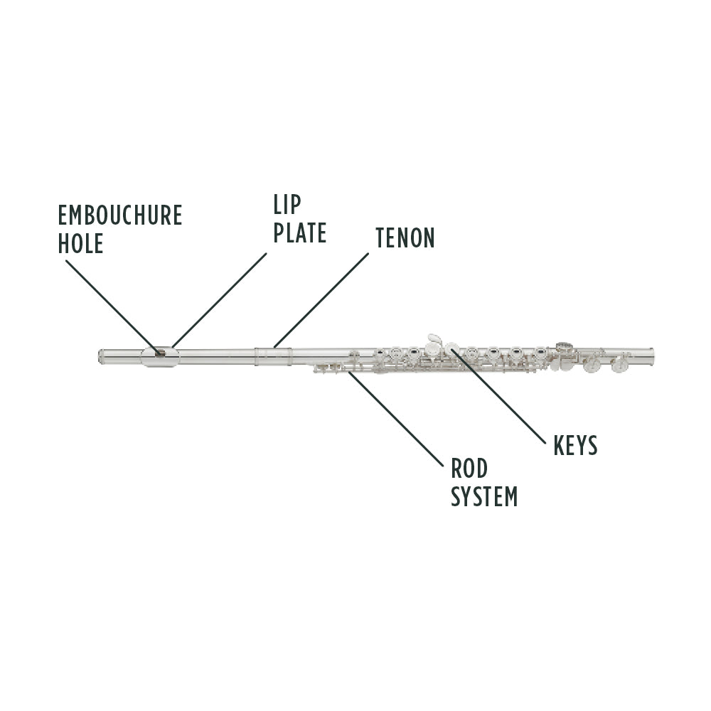 Flute Anatomy