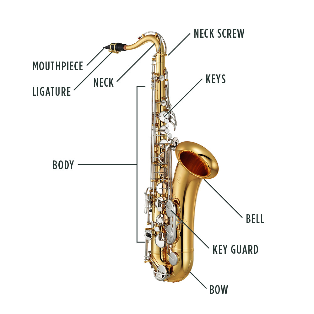 Tenor Saxophone Anatomy