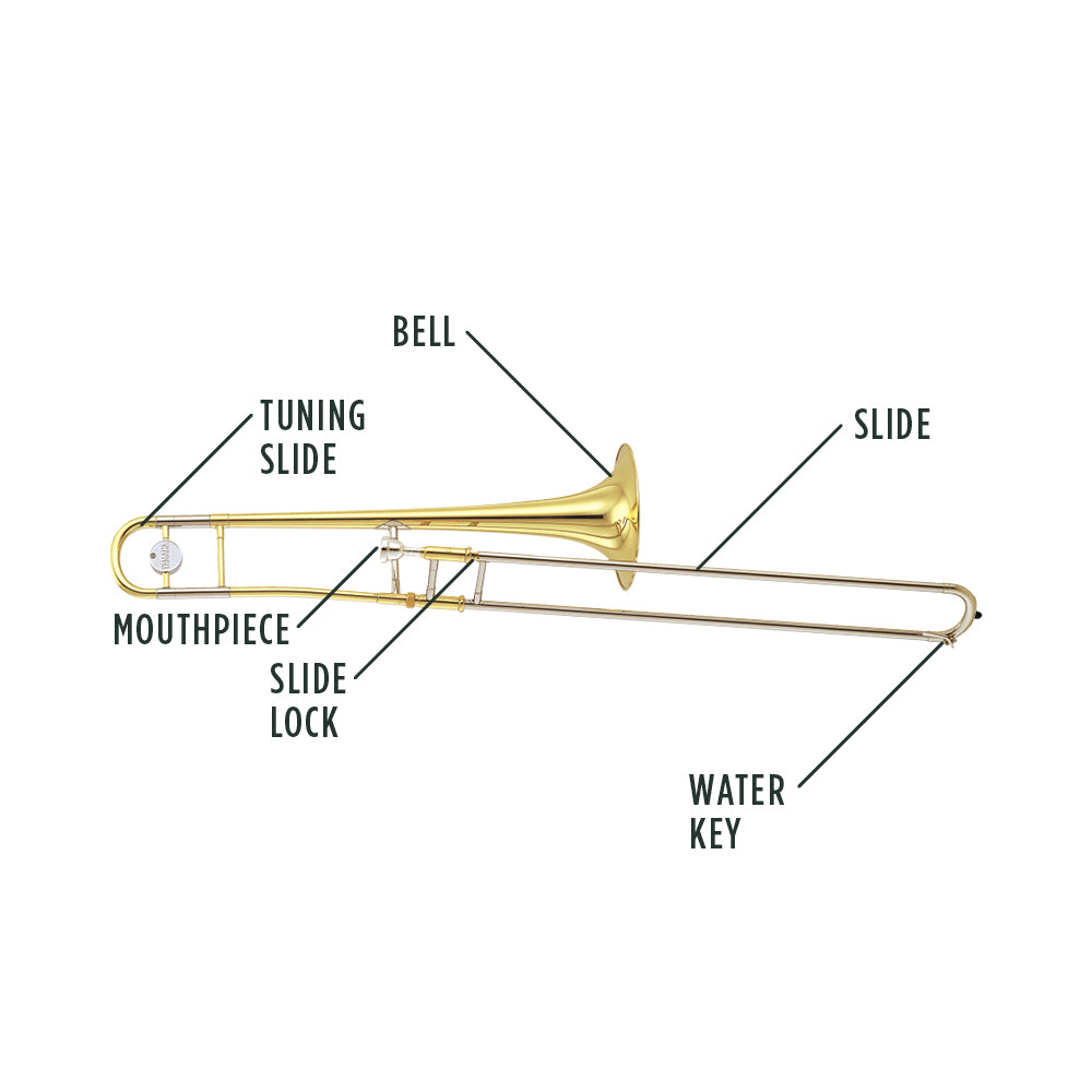 Trombone Anatomy