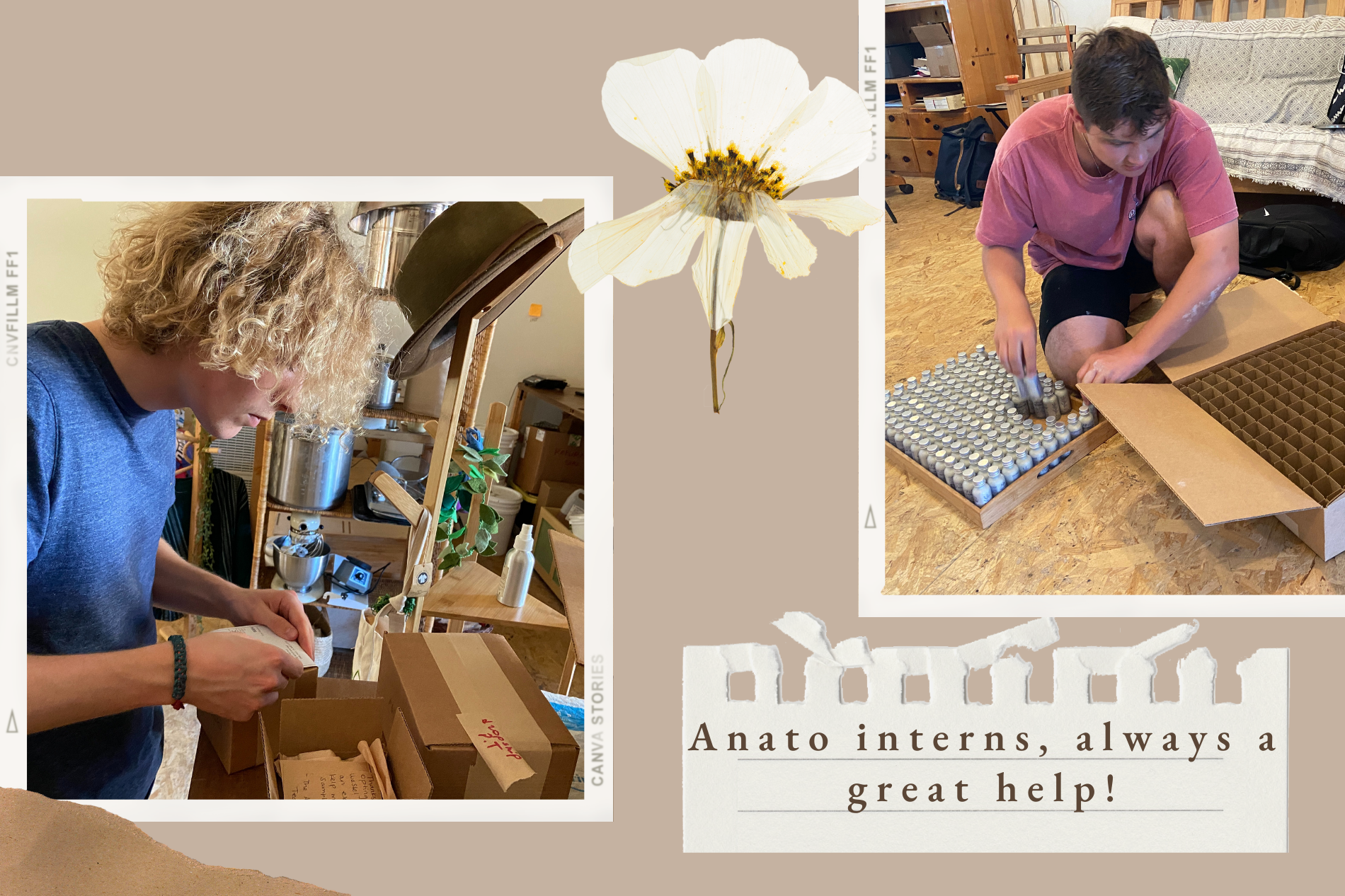 Anato interns are always a great help!