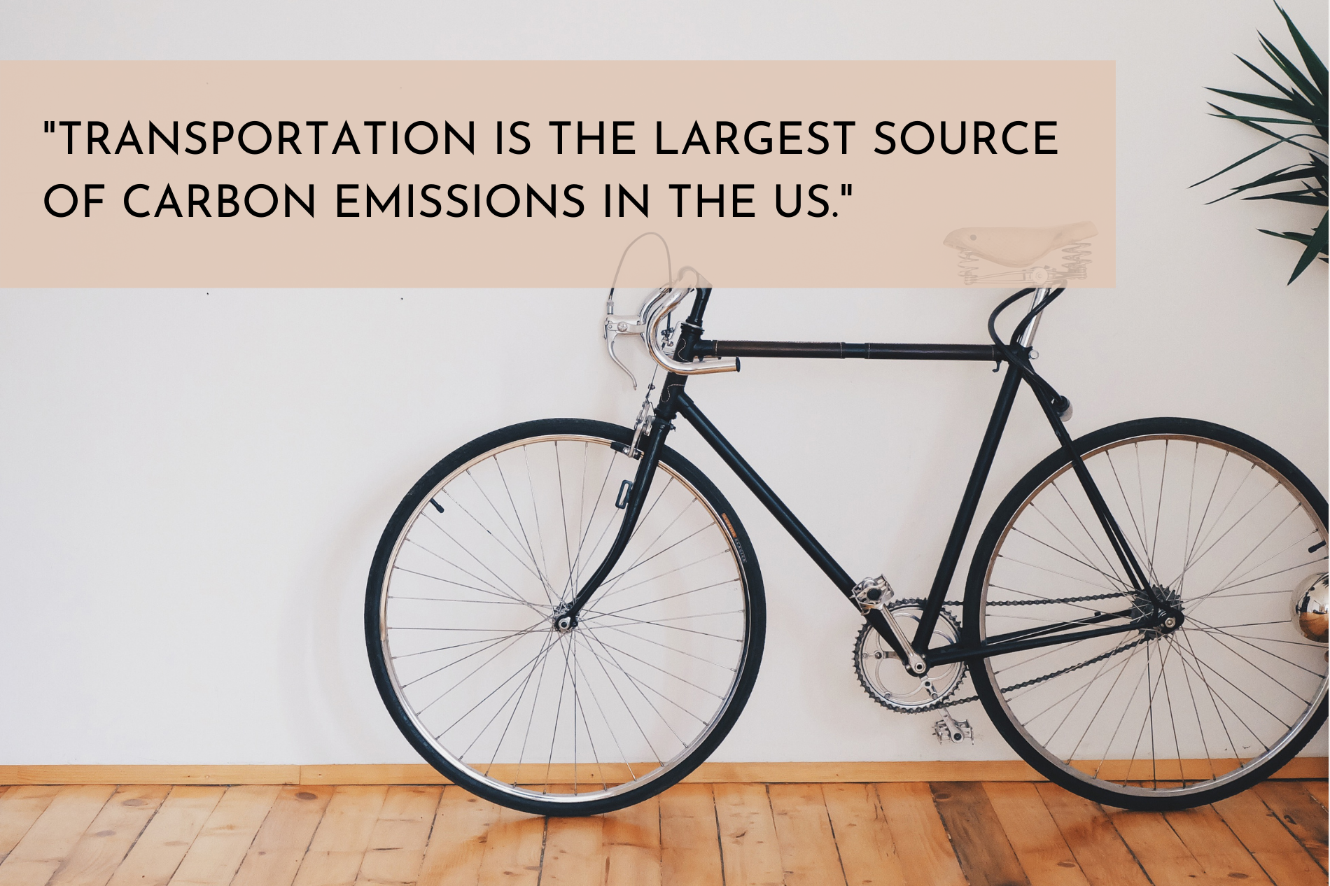Carbon emissions of transportation