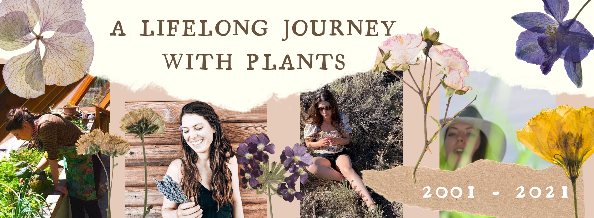 A lifelong journey with plants Anato Skincare