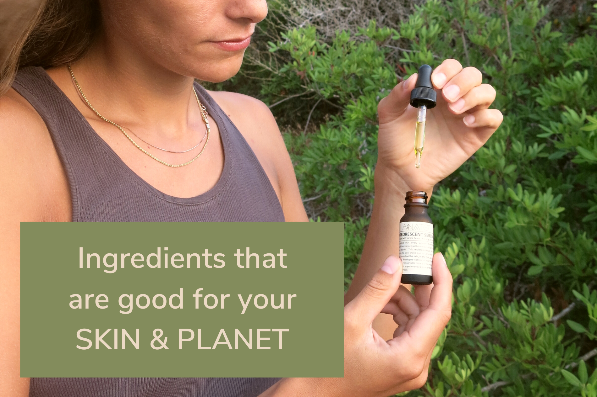 Ingredients that are good for your SKIN & PLANET - Anato Life Skincare