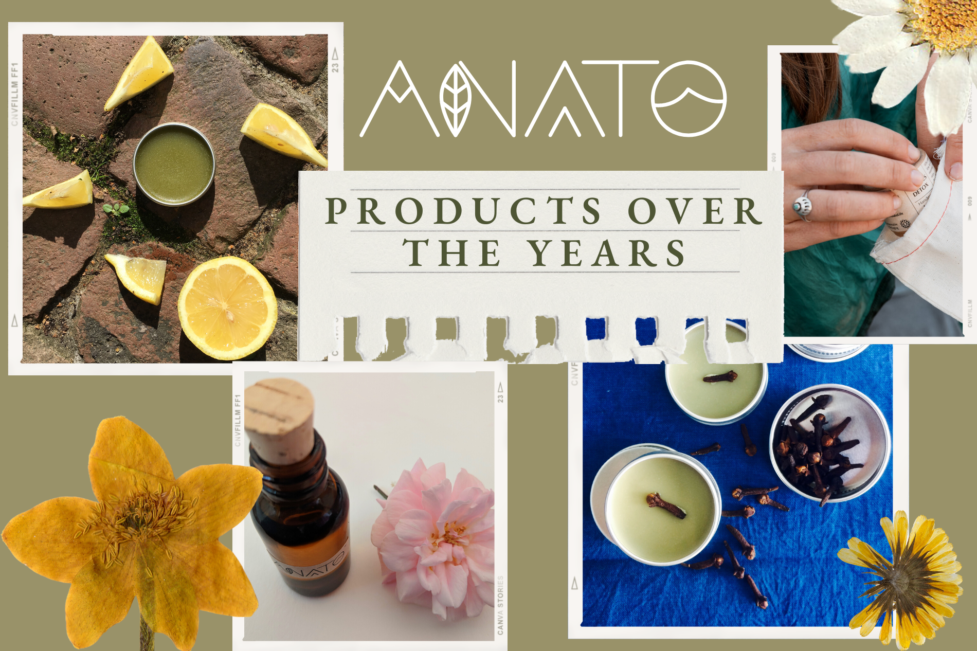 Anato Products over the years