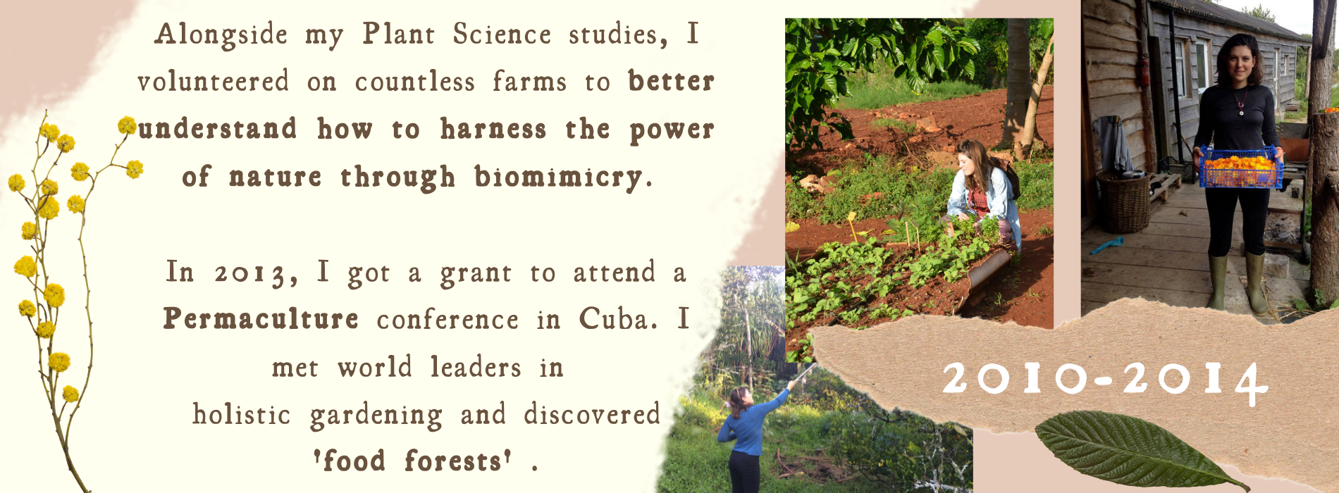 Alongside my Plant Science studies, I volunteered on countless farms to better understand how to harness the power of nature through biomimicry.   In 2013, I got a grant to attend a Permaculture conference in Cuba. I met world leaders in  holistic gardening and discovered  'food forests' . 