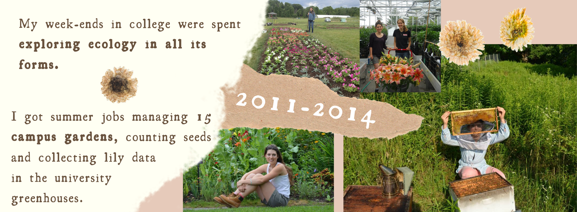 2011-2014 My week-ends in college were spent exploring ecology in all its forms. I got summer jobs managing 15 campus gardens, counting seeds and collecting lily data in the university greenhouses.