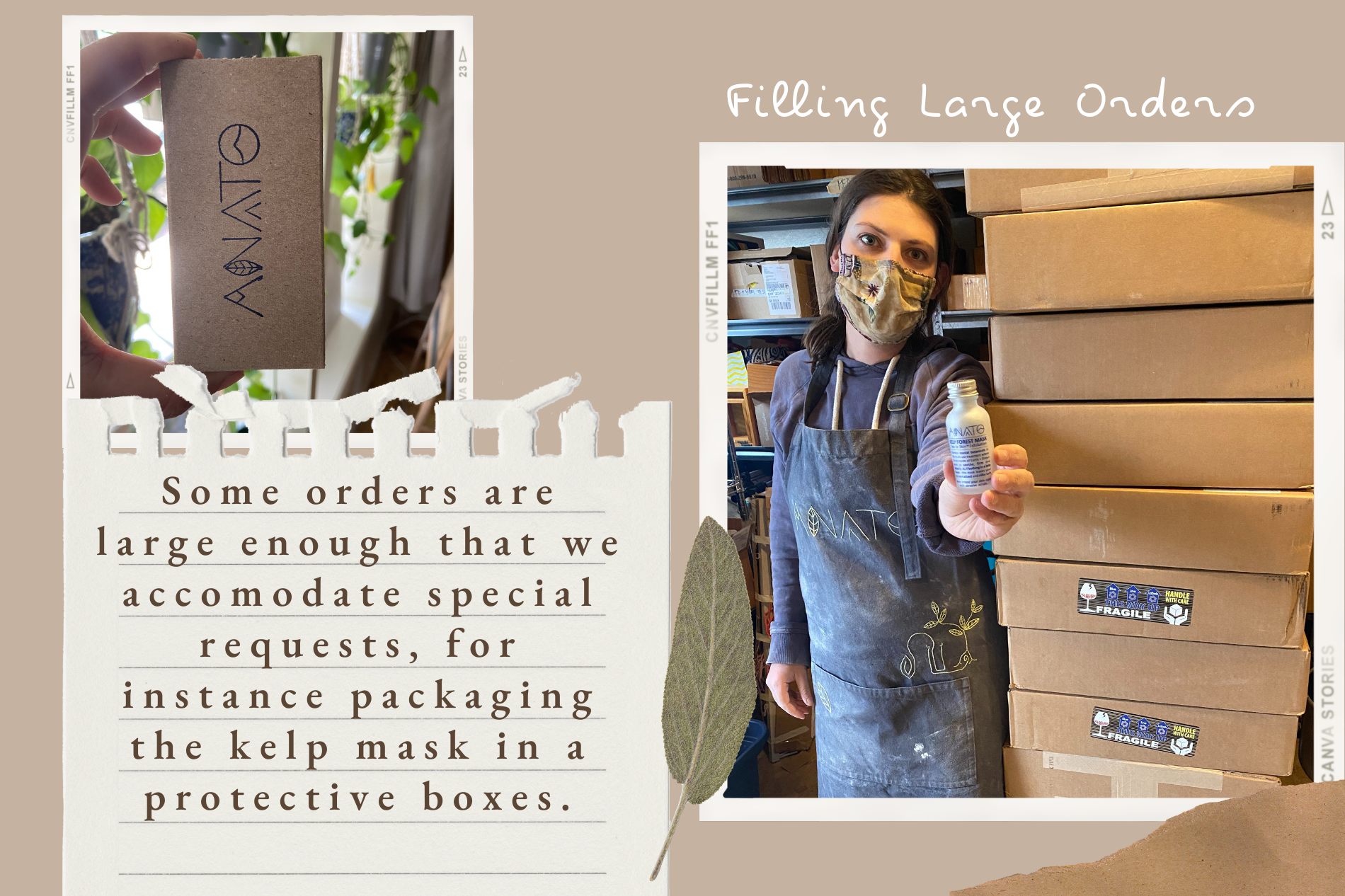 Filling large Anato orders: Some orders are large enough that we accomodate special requests, for instance packaging the kelp mask in a protective boxes.