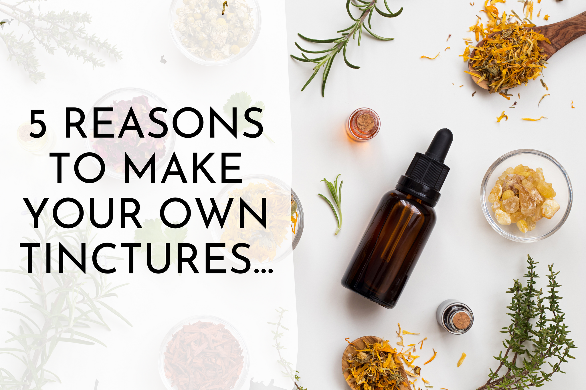 5 REASONS TO MAKE YOUR OWN TINCTURE BY ANATO REGENERATIVE SKINCARE