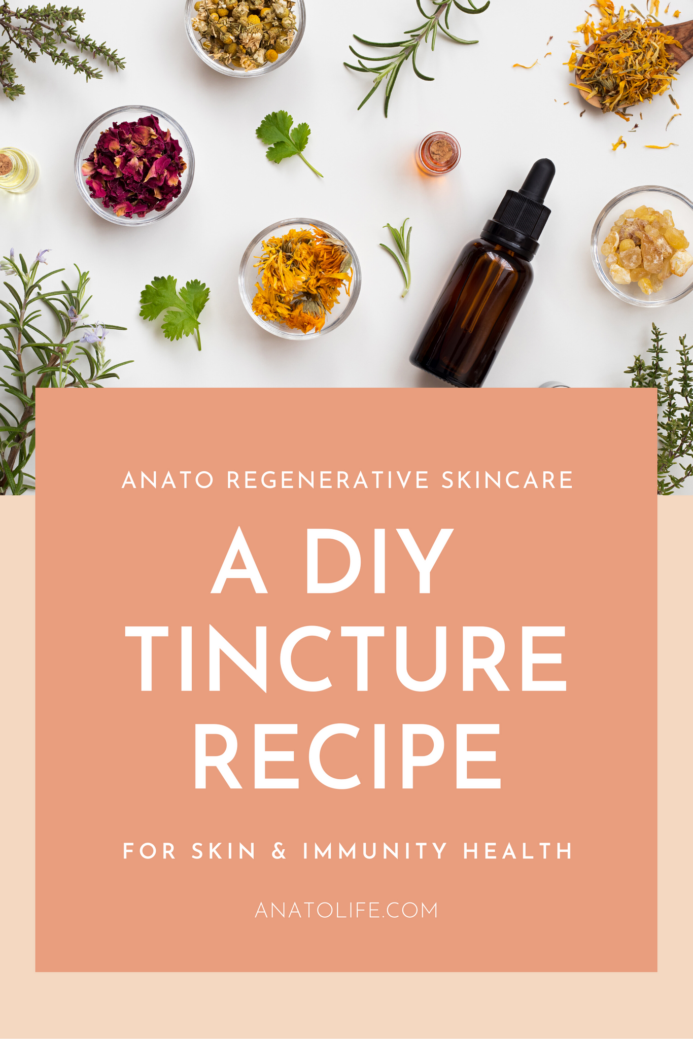 diy tincture recipe