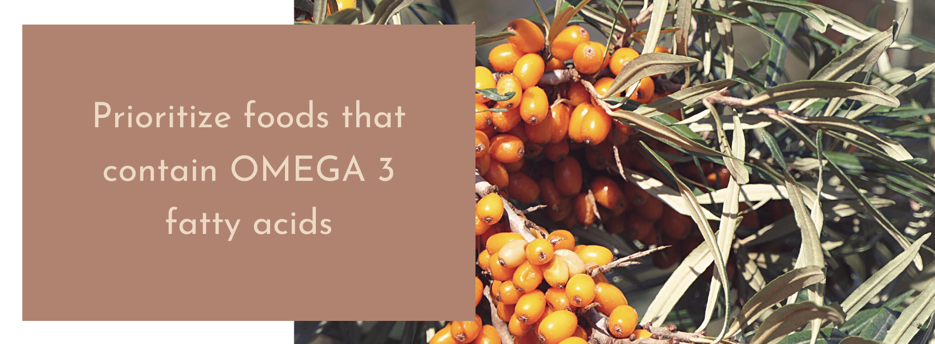 Buckthorn Omega 3s