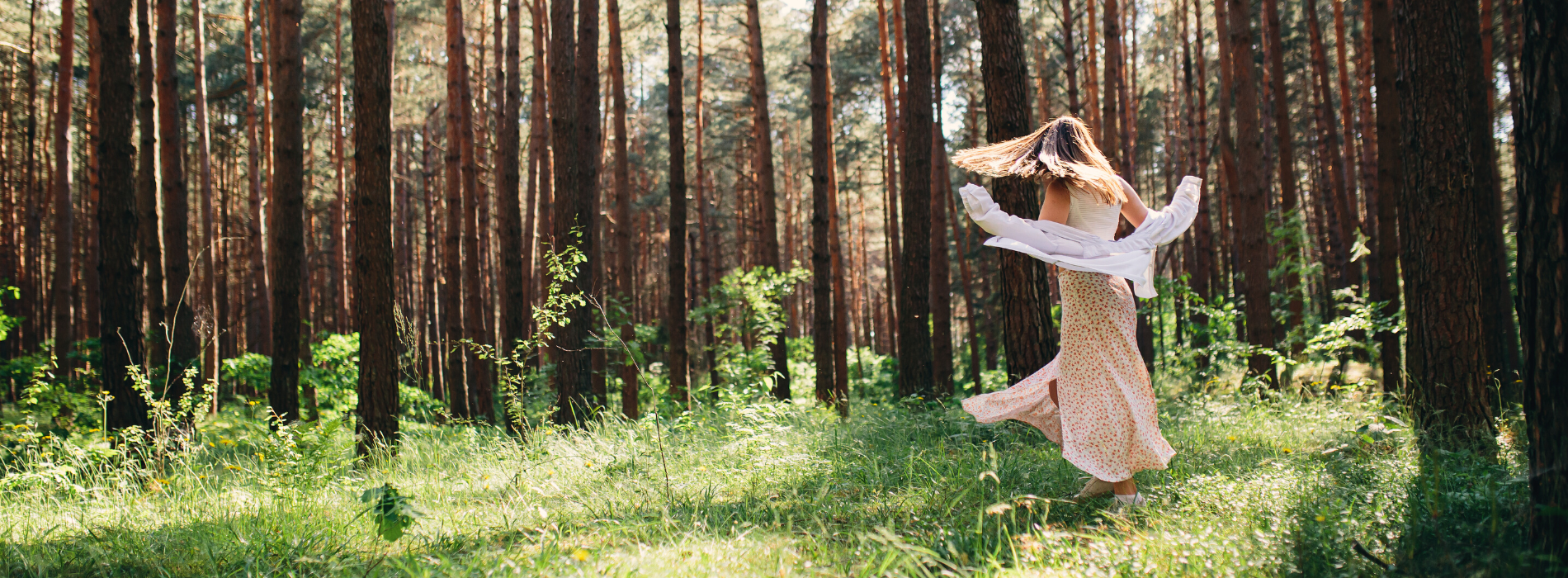 Forest to Face® skincare Anato Life Forest Bathing