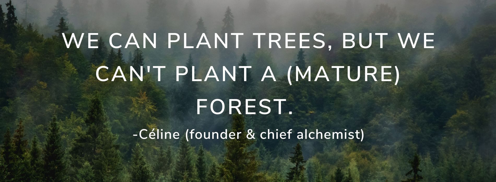 Quote by Céline Jennison AnatoLife Forest to Face® Skincare