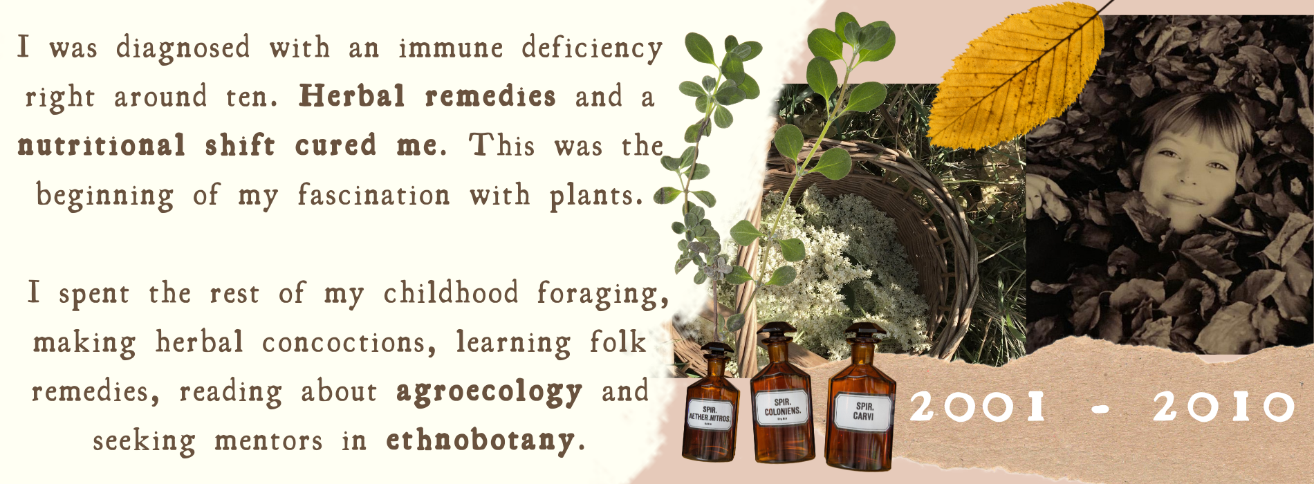 I was diagnosed with an immune deficiency right around ten. Herbal remedies and a nutritional shift cured me. This was the beginning of my fascination with plants.   I spent the rest of my childhood foraging, making herbal concoctions, learning folk remedies, reading about agroecology and seeking mentors in ethnobotany.