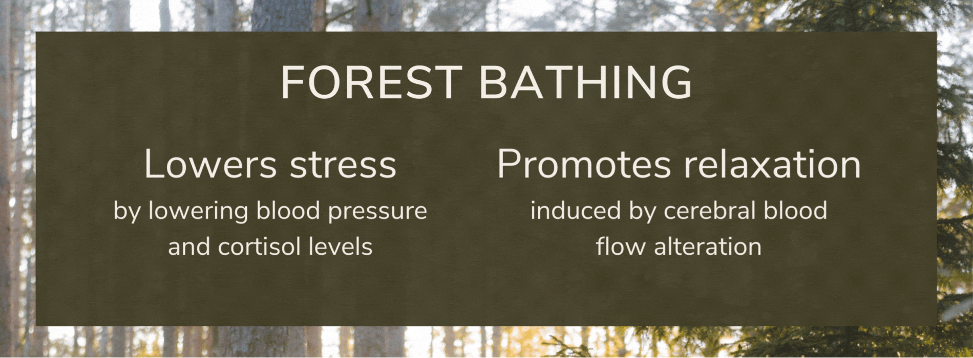 Forest Bathing: Lowers stress by lowering blood pressure and cortisol levels, Promotes relaxation  induced by cerebral blood  flow alteration& 