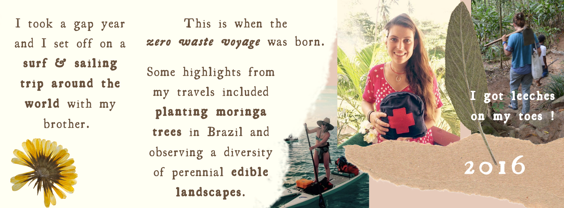 I took a gap year and I set off on a surf & sailing trip around the world with my brother. This is when the zero waste voyage was born. Some highlights from my travels included planting moringa trees in Brazil and observing a diversity of perennial edible landscapes.