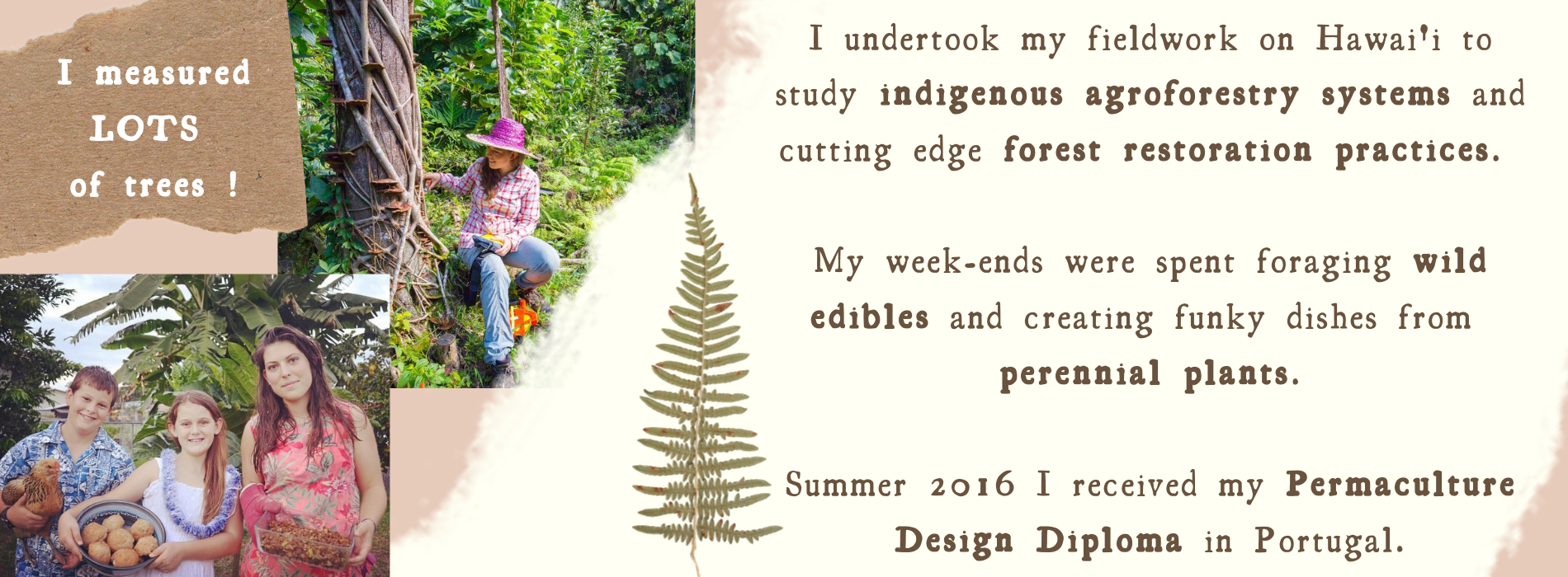 I undertook my fieldwork on Hawai'i to study indigenous agroforestry systems and cutting edge forest restoration practices.   My week-ends were spent foraging wild edibles and creating funky dishes from  perennial plants.  Summer 2016 I received my Permaculture Design Diploma in Portugal. I measured lots of trees!
