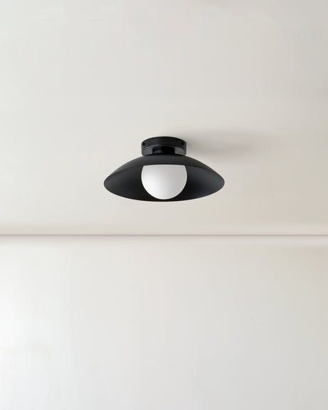 electric light ceiling rose